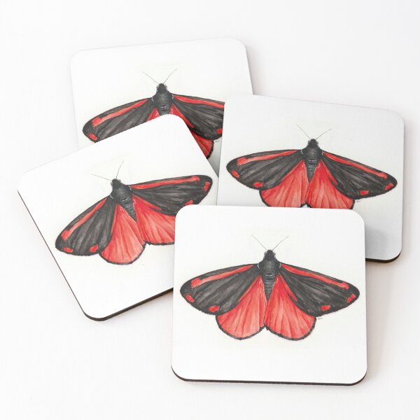 Item preview, Cinnabar Moth designed and sold by Avhstudio.