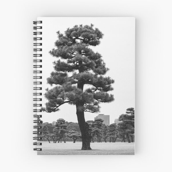 Item preview, Japanese Black Pine Tree designed and sold by David Bowman.