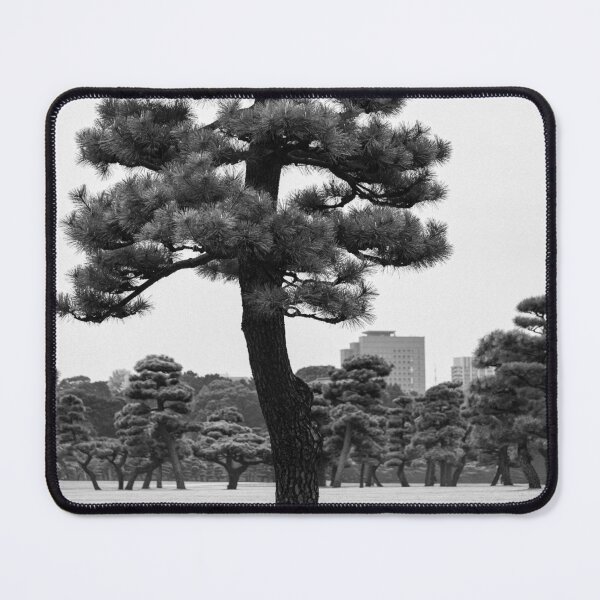 Item preview, Japanese Black Pine Tree designed and sold by David Bowman.