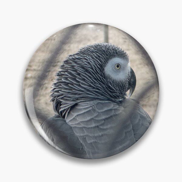 Item preview, Lisbon Portugal Zoo Bird designed and sold by MalloryNolte.