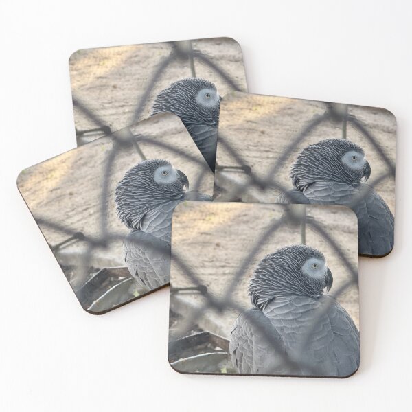 Item preview, Lisbon Portugal Zoo Bird designed and sold by MalloryNolte.
