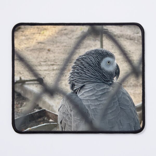 Item preview, Lisbon Portugal Zoo Bird designed and sold by MalloryNolte.