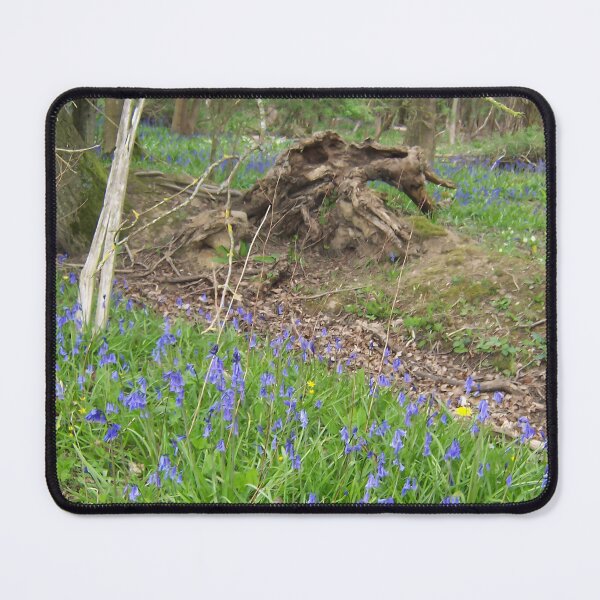 Item preview, Bluebell Wood III designed and sold by Katy Fryd.