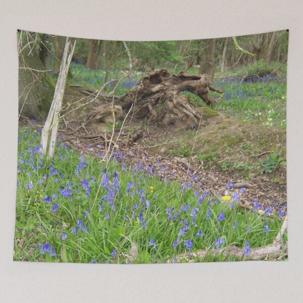 Item preview, Bluebell Wood III designed and sold by Katy Fryd.