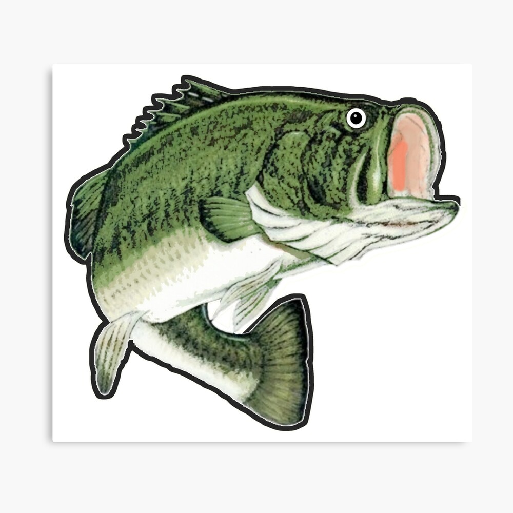 Big Mouth Bass Art Board Print for Sale by BankrobberGus