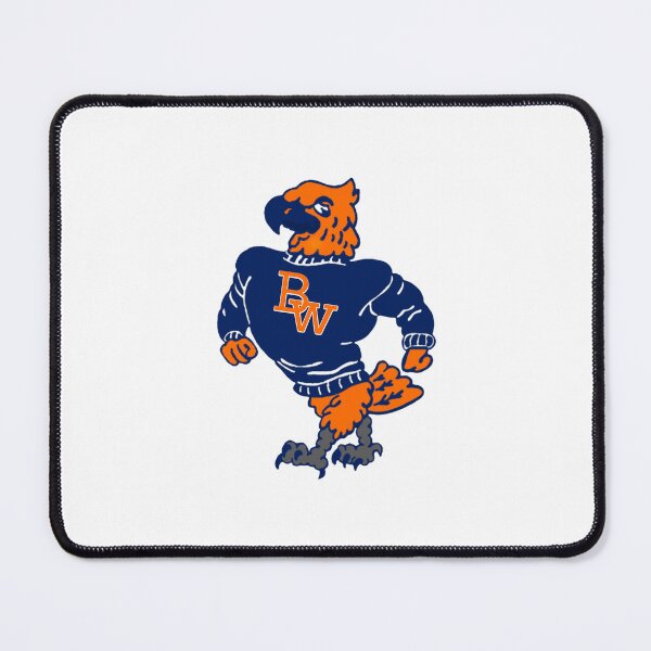 Item preview, Briar Woods High School Falcons (Throwback) designed and sold by LockedUp.