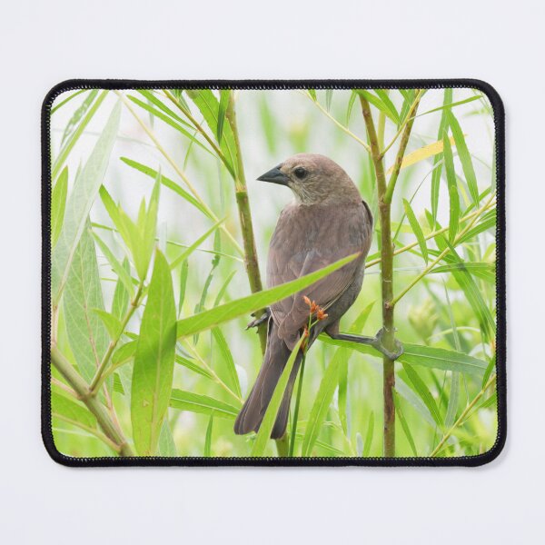 Item preview, Grassland Beauty designed and sold by Anita Oakley.