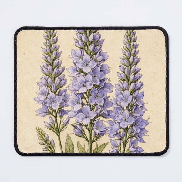 Item preview, Vintage Veronica Spicata Botanical Illustration - Antique Speedwell Flower Print designed and sold by Darlin8888.