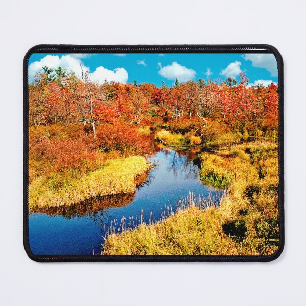Item preview, Pennsylvania Wetland, Fall Afternoon, Colorful Foliage designed and sold by AMacGPhilly.