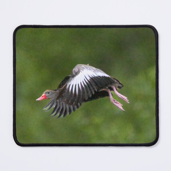 Item preview, On Approach  designed and sold by Glennphotos.