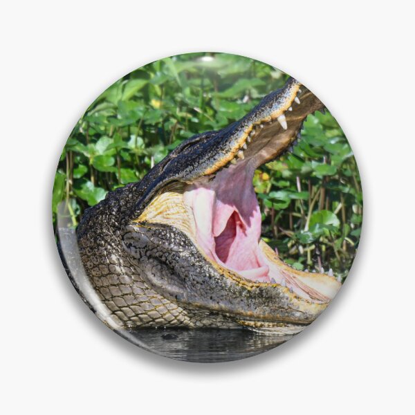 Item preview, Yawn  designed and sold by Glennphotos.