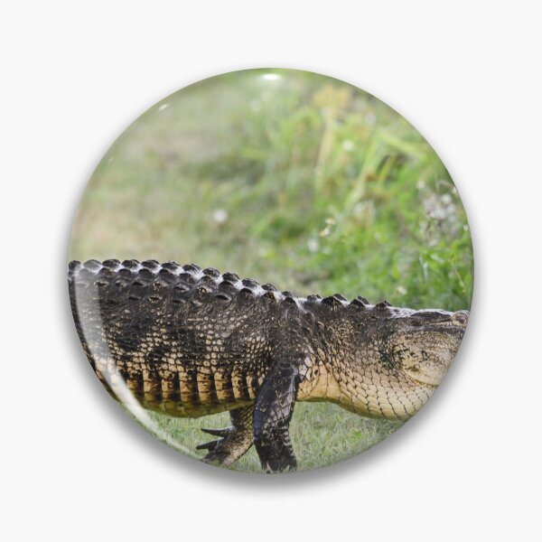 Item preview, Walking proudly  designed and sold by Glennphotos.