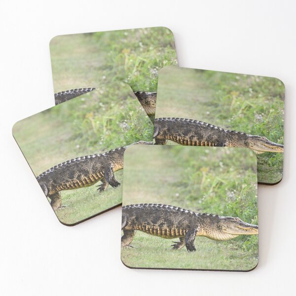Item preview, Walking proudly  designed and sold by Glennphotos.