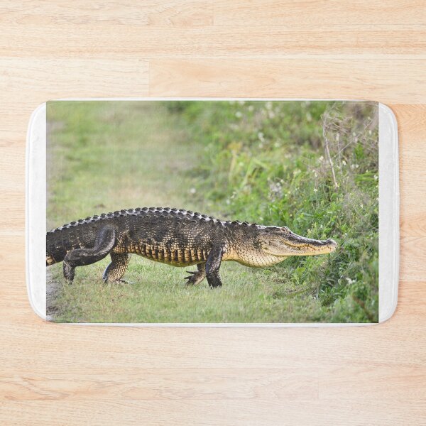 Item preview, Walking proudly  designed and sold by Glennphotos.