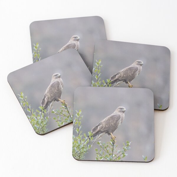 Item preview, Common Buzzard designed and sold by LaurenTucker.