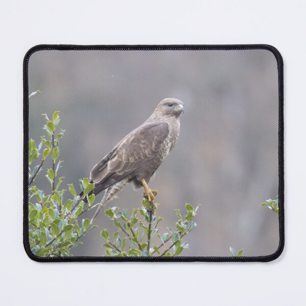 Item preview, Common Buzzard designed and sold by LaurenTucker.