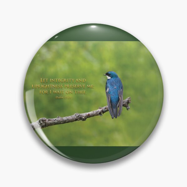 Item preview, Integrity designed and sold by Anita Oakley.