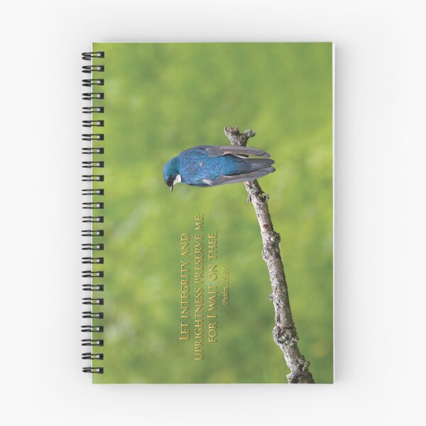 Item preview, Integrity designed and sold by Anita Oakley.