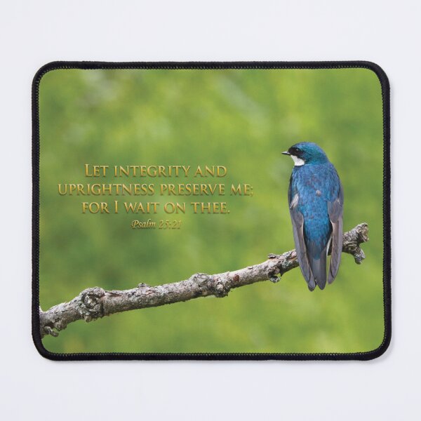 Item preview, Integrity designed and sold by Anita Oakley.