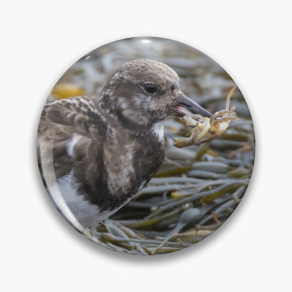 Item preview, Ruddy Turnstone designed and sold by LaurenTucker.