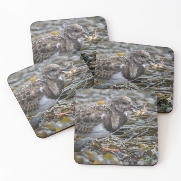 Item preview, Ruddy Turnstone designed and sold by LaurenTucker.