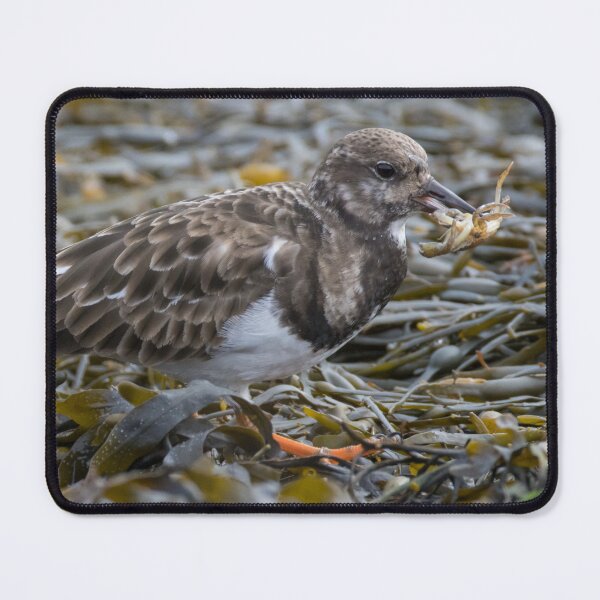 Item preview, Ruddy Turnstone designed and sold by LaurenTucker.