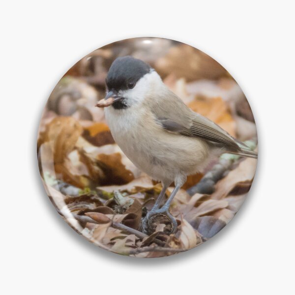 Item preview, Marsh Tit designed and sold by LaurenTucker.