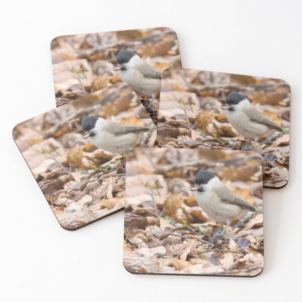 Item preview, Marsh Tit designed and sold by LaurenTucker.