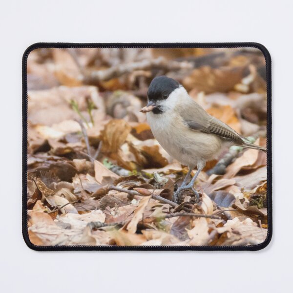 Item preview, Marsh Tit designed and sold by LaurenTucker.