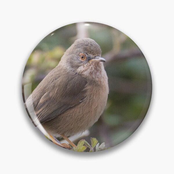 Item preview, Dartford Warbler designed and sold by LaurenTucker.