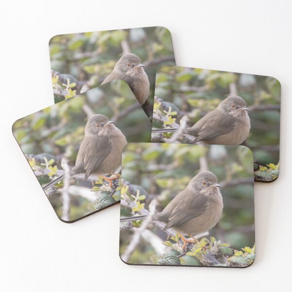 Item preview, Dartford Warbler designed and sold by LaurenTucker.