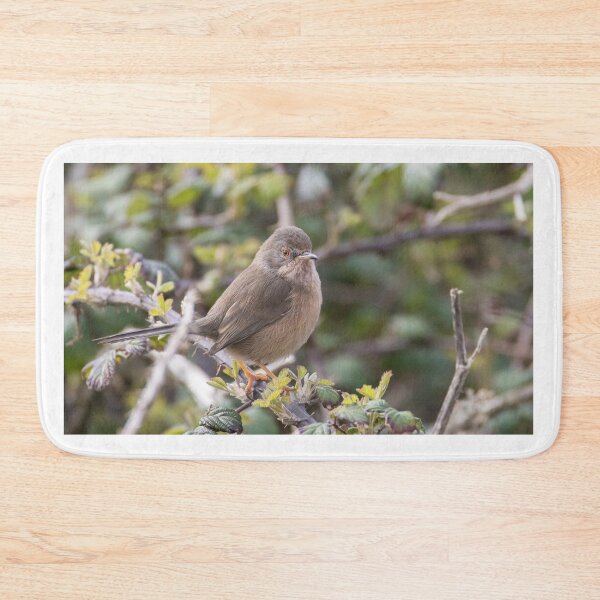 Item preview, Dartford Warbler designed and sold by LaurenTucker.