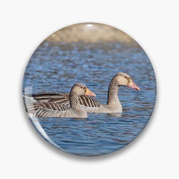 Item preview, A pair of wild geese on a pond in early spring. designed and sold by NaturePhotography.