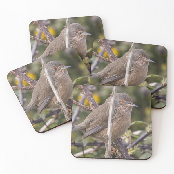 Item preview, Dartford Warbler designed and sold by LaurenTucker.