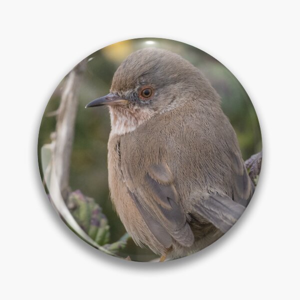 Item preview, Dartford Warbler designed and sold by LaurenTucker.
