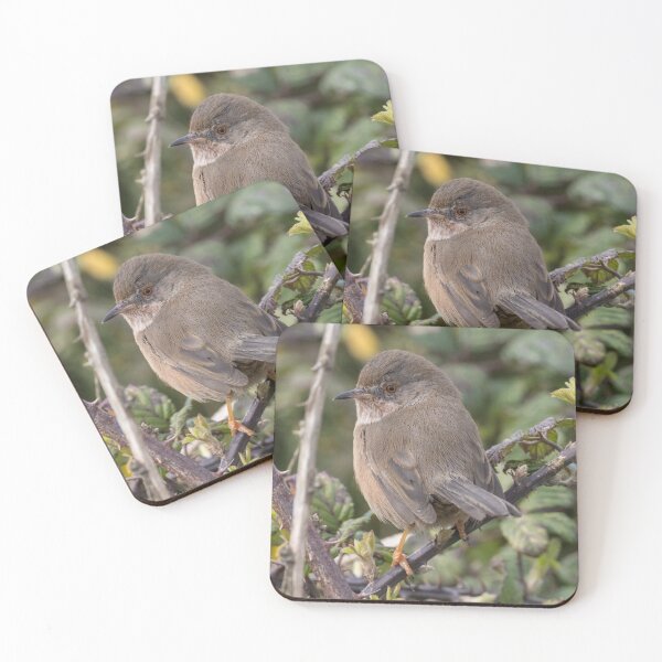 Item preview, Dartford Warbler designed and sold by LaurenTucker.