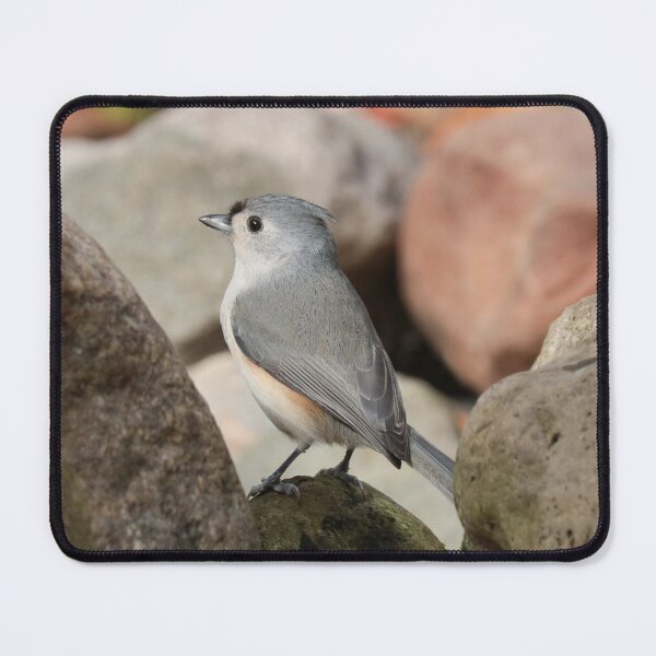 Item preview, Patience designed and sold by Anita Oakley.