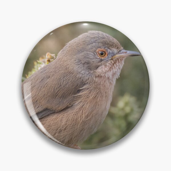 Item preview, Dartford Warbler designed and sold by LaurenTucker.