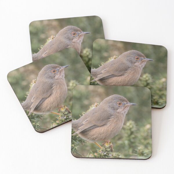 Item preview, Dartford Warbler designed and sold by LaurenTucker.