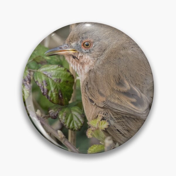 Item preview, Dartford Warbler designed and sold by LaurenTucker.