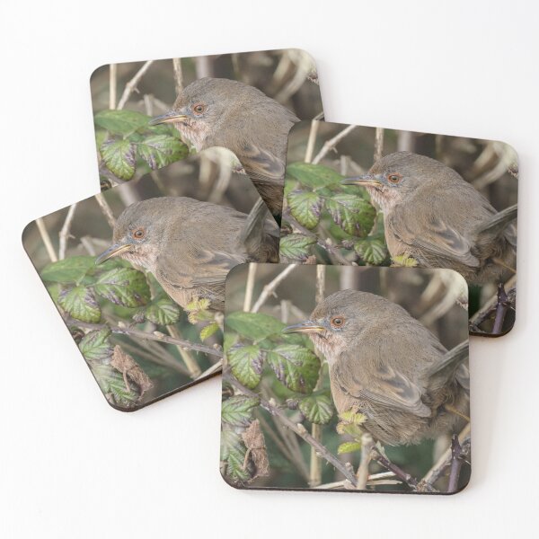 Item preview, Dartford Warbler designed and sold by LaurenTucker.