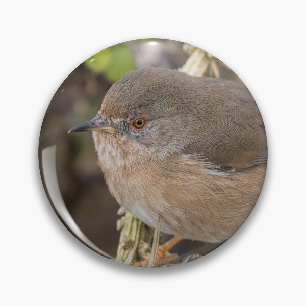 Item preview, Dartford Warbler designed and sold by LaurenTucker.