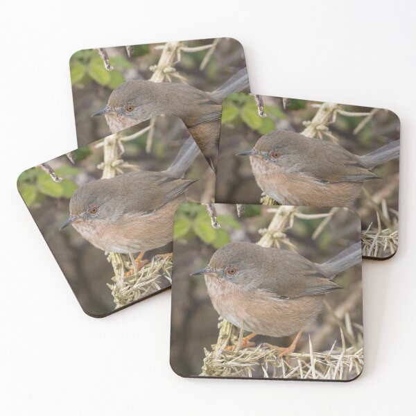 Item preview, Dartford Warbler designed and sold by LaurenTucker.