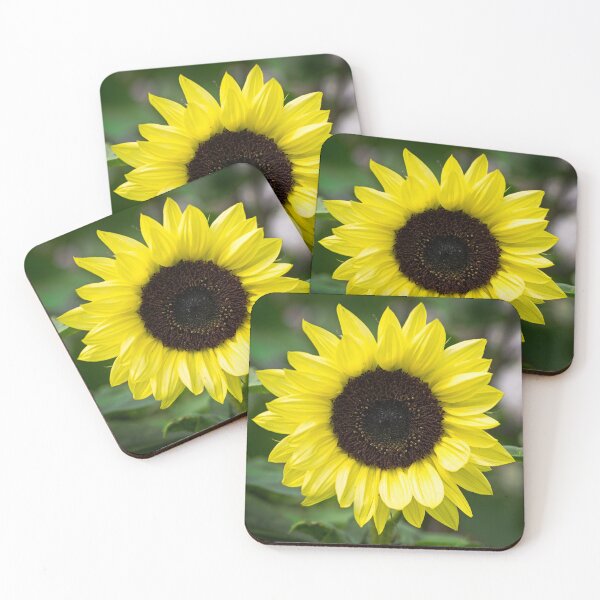 Item preview, Sunflower designed and sold by Stephen Jarman.