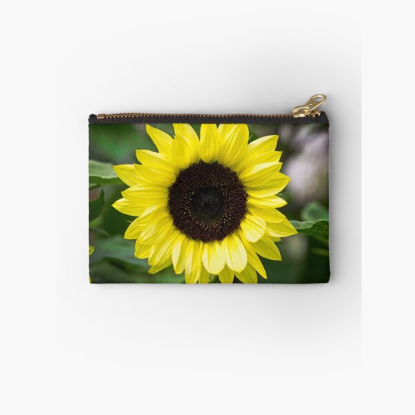 Item preview, Sunflower designed and sold by Stephen Jarman.