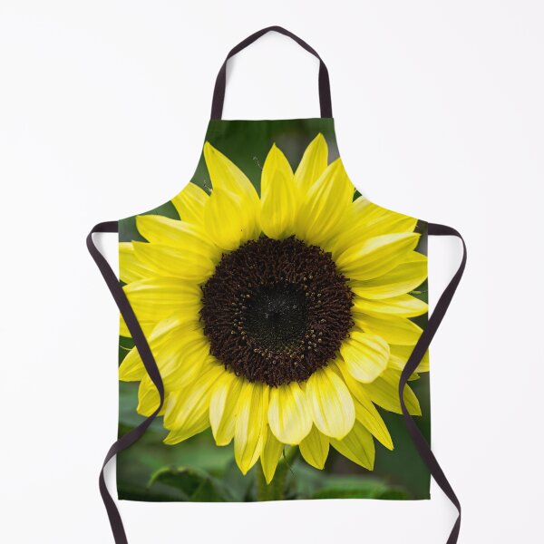 Item preview, Sunflower designed and sold by Stephen Jarman.