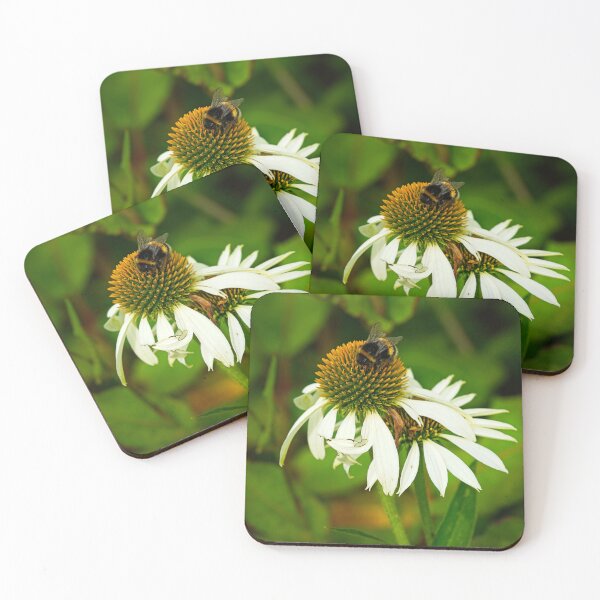 Item preview, Bumble bee on a Echinacea flower designed and sold by Stephen Jarman.