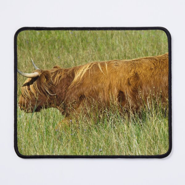 Item preview, Highland cow photographed in Glen Nevis designed and sold by Stephen Jarman.
