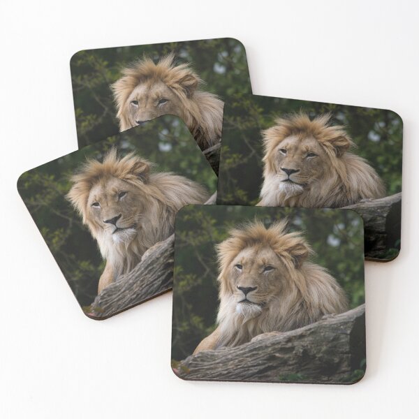 Item preview, Majestic Lion Portrait Wildlife Photography designed and sold by flowlens.media.
