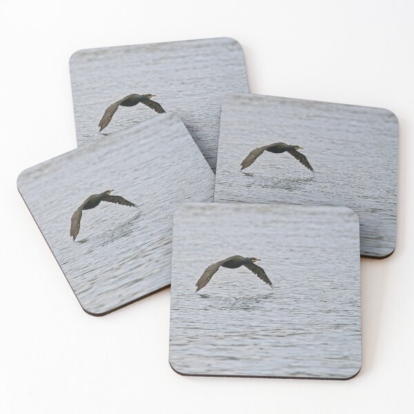 Item preview, Cormorant flying close to Loch Creran designed and sold by Stephen Jarman.